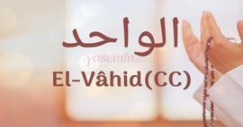 El-Vahid (c.c) ne demek? El-Vahid (c.c) faziletleri nelerdir?