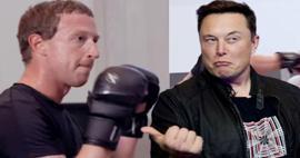 Mark Zuckerberg'e küfür eden Elon Musk'ın başı dertte! Kafes dövüşünde kozlarını paylaşacak