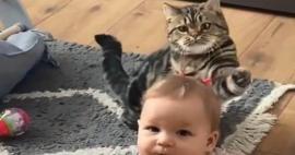 Kedi ve bebeğin arkadaşlığı yumuşacık yaptı! Bebeğin antenleri en güzel oyuncak...