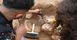 Toprağı kazdıkça fışkırıyor! Mardin'deki Büyükboğaziye Höyüğü tarihin seyrini değiştirdi