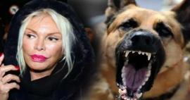 Ajda Pekkan “sokak köpekleri yasasına" tepki! "Bizi de uyutsunlar"