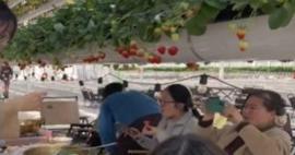 Restoranda yemek yiyenlere çilek ikramını böyle yaptılar!