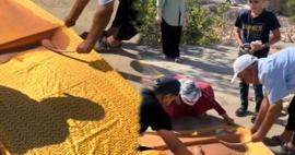 Kahta'da yıllardır devam eden gelenek: Aileler bağbozumu için bir araya geldi!