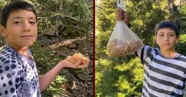 'Maden buldum' diyerek paylaştı: Ormandan topluyor kilosunu 5 bin liradan satıyor!