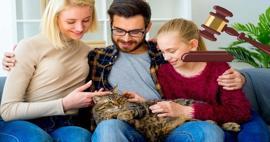 Boşanma davasında mahkemeden emsal karar:“ Kedi Nafakası” dönemi!