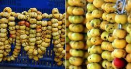 Dağlardan sofralara: Şifa deposu alıçta hasat başladı! Faydaları say say bitmiyor