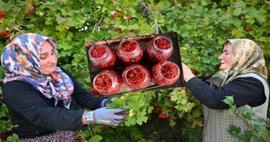 Az masraflı çok kazanç: Gilaburu meyvesi faydaları saymakla bitmiyor