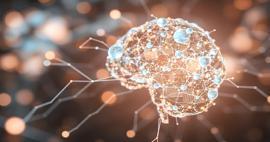 Zihin okuma gerçek oldu: Japonya'da görsel imgeleri metne dönüştürebilen teknik geliştirildi