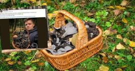 Polonyalı uzmandan şaşırtan keşif: “Bereket boynuzu” mantarını buldu!