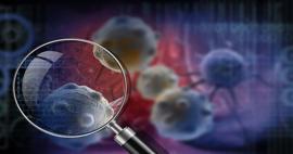 Türkiye'de en çok kanser vakası görülen iller belli oldu! Listede ilk sıradaki şehir şaşırttı