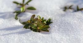 Baharın m&uuml;jdecisi: 2026 ilk cemre ne zaman d&uuml;şecek?