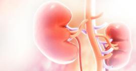 B&ouml;brek hastalarında beslenmede tek &ccedil;&ouml;z&uuml;m: Parmak izi gibi kişiye &ouml;zel diyet