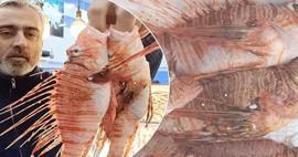 Tezgahlarda satışı yasak ama kapış kapış gidiyor: Kilosu 400 TL'ye dayandı