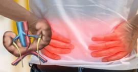 At nalı b&ouml;brek: Her 400 doğumda g&ouml;r&uuml;len belirti vermeyen b&ouml;brek anomalisi ve riskleri