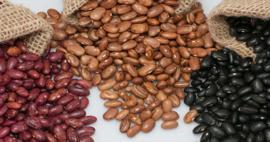 100 yaşını aşanların ortak sırrı! D&uuml;nyaca &uuml;nl&uuml; uzman isim "mutlaka t&uuml;ketin" diyor