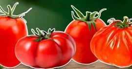 TasteAtlas, d&uuml;nyanın en iyi domateslerini a&ccedil;ıkladı! T&uuml;rkiye yine farkını ortaya koydu
