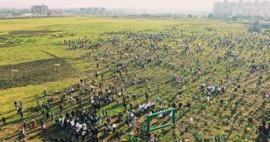 12 saate 353 milyon ağa&ccedil; dikimi &uuml;lkede felaketi getirdi: Doğanın dengesi alt &uuml;st oldu