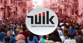 T&Uuml;İK&rsquo;ten dikkat &ccedil;eken &ccedil;alışma: Herkes memleketine d&ouml;nseydi en kalabalık il hangisi olurdu?
