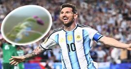 Messi&rsquo;nin ismi Peru&rsquo;da keşfedilen yeni bitki t&uuml;r&uuml;ne verildi
