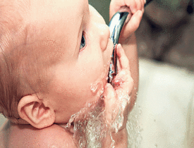 Bebekler musluk suyu içebilir mi?