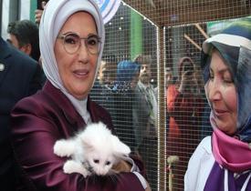 Emine Erdoğan, Gaziantep standını ziyaret etti