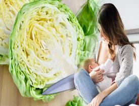 Emziren anne ve bebekte lahana gaz yapar mı? Emziren anneler lahana suyu içebilir mi? 
