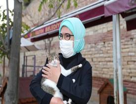 Emine Erdoğan'dan '4 Ekim Hayvanları Koruma Günü'ne özel paylaşımlar!