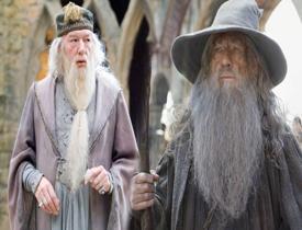 Yüzüklerin Efendisi'ndeki Gandalf ile Harry Potter'deki Albus Dumbledore aynı kişi mi?