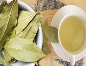 Ceviz yaprağı çayının faydaları nelerdir? Ceviz yaprağı çayı nasıl yapılır?