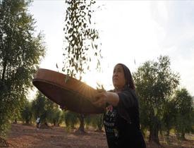 Kilis'te kadın girişimciler zeytinyağı ve sabun üretiyor