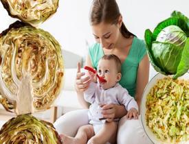 Bebekler lahana yer mi? Bebeklere kaçıncı ayda lahana verilmeli? Lahananın bebeklere faydası