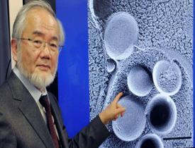 Nobel ödüllü Japon bilim insanı Yoshinori Ohsumi'den oruç hakkında şaşırtan açıklama geldi!