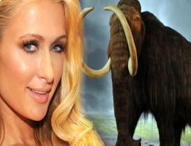 Paris Hilton parasını mamutlara yatırdı! 