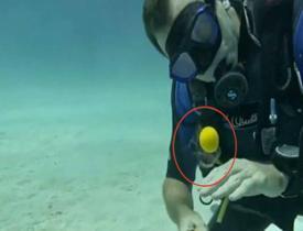 Denizin 12 metre derinliğinde kırılan yumurta bakın ne hale geldi? O görüntüler...