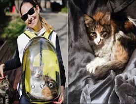 Jessica May  sokak kedilerine yaptığı davranışla takdir topladı!