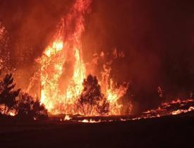 Çanakkale'de orman yangını! Şehir merkezi adeta duman altında kaldı