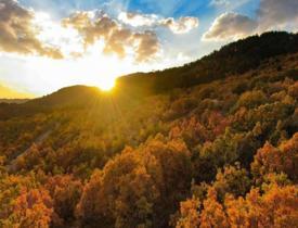 Erzincan sonbahar mevsimiyle birlikte renk cümbüşüne büründü