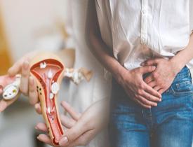 Çift rahim nedir? Çift rahimli doğum mümkün mü?Çift Rahimli kadınların gebeliklerindeki riskler