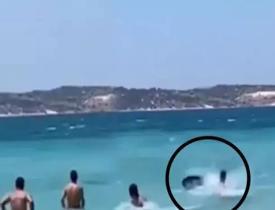 İzmir'de köpek balığı sanılan yunus balığı büyük panik oluşturdu! O anlar...