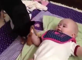 Bebeğe oyuncak vermek isteyen köpeğin sabır sınavı