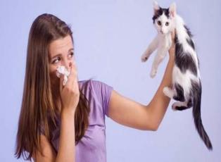 Evcil hayvanlara alerjiniz varsa...