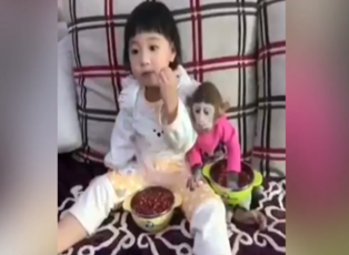 Yaramaz maymunla küçük kızın çerez mücadelesi