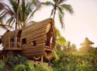 Güneş enerjili ağaç evler 'Playa Viva'