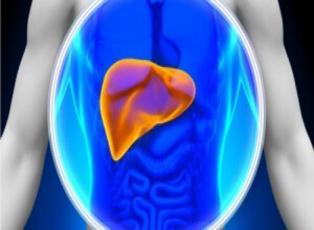 Karaciğer hastalıklarının belirtileri neler?