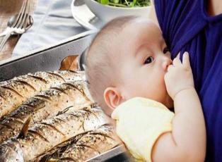 Emzirme döneminde balık yenir mi? Emziren annelerin yiyebileceği balıklar