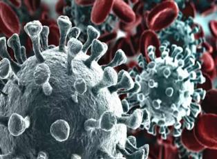 Sağlık Bakanlığı'nın Koronavirüs uyarılarına ünlülerden destek