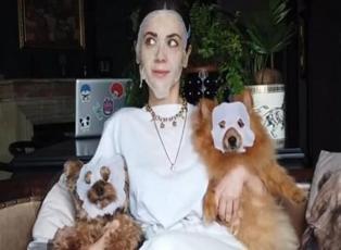 Fulya Zenginer'in köpekleriyle güldüren maskeli paylaşımı!