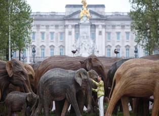 Londra'da Buckingham Sarayında 'gerçek boyutlu filler' sergisi