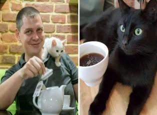 Ukrayna'da savaşa direnen kedili kafe gündem oldu!
