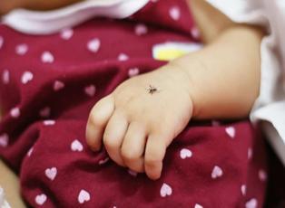 Bebeklere sinek kovucu sürülür mü? 2023 bebekler için en iyi sinek kovucular